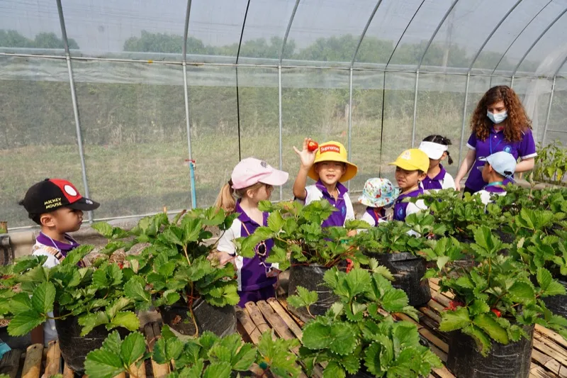 Field trip to Green House