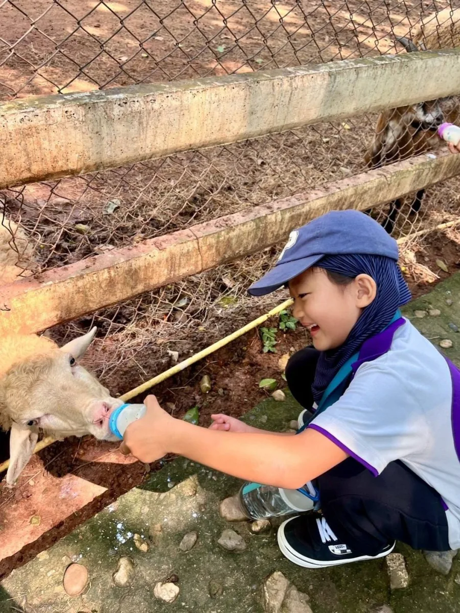 Gallery photo